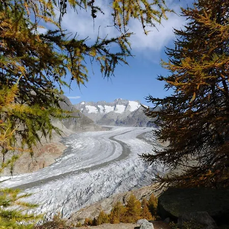 Tschiffra Og Διαμέρισμα Bettmeralp